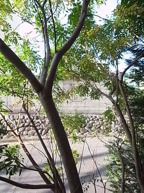 Brama甲東の展望