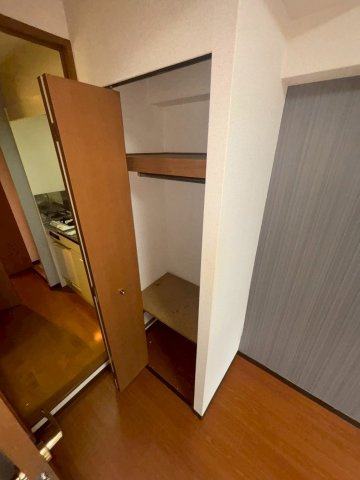 大阪市中央区石町２丁目の賃貸マンションの収納