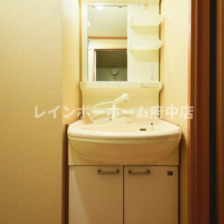 キャスルつつじヶ丘の独立洗面台