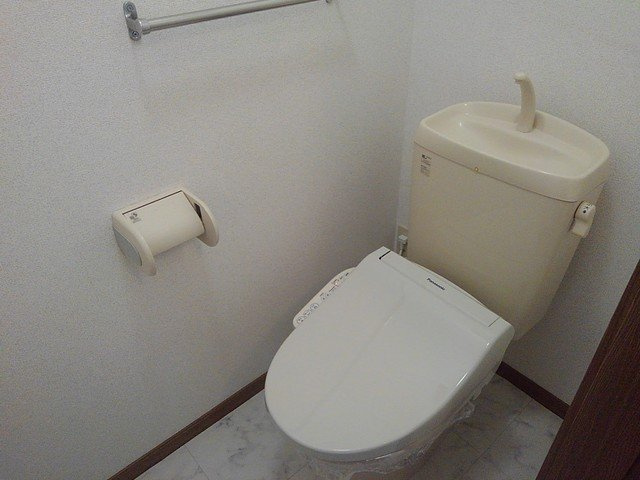 ドリームハウスⅡ番館のトイレ