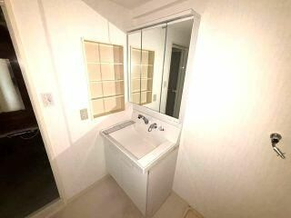 ライオンズマンション新座の洗面所