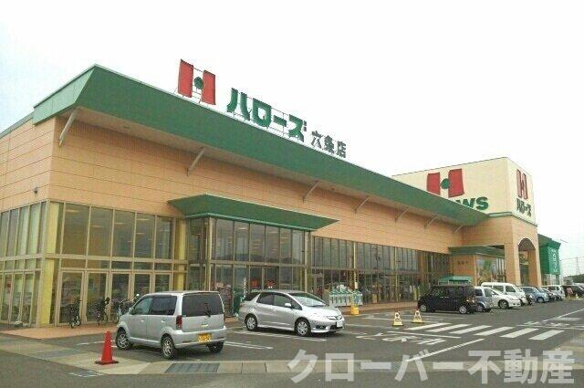 エスポワールＡの周辺|ハローズ六条店さんまで1000m