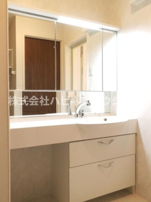 BLESSHOUSE柏西町D101の独立洗面台