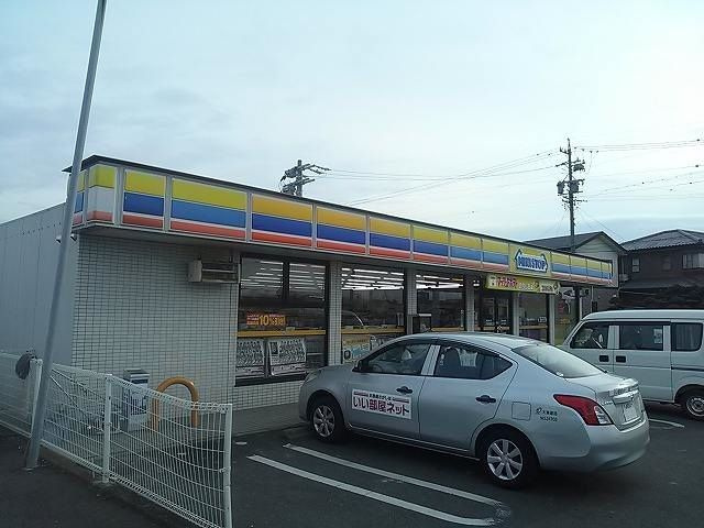 ひまわりのその他
