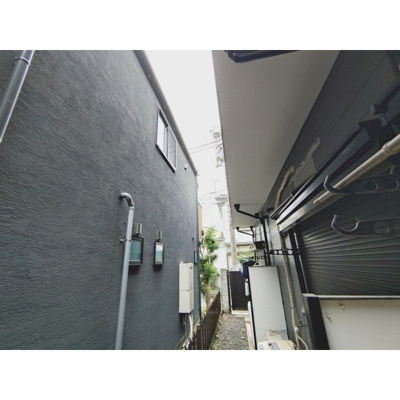  | ベンジャミン
