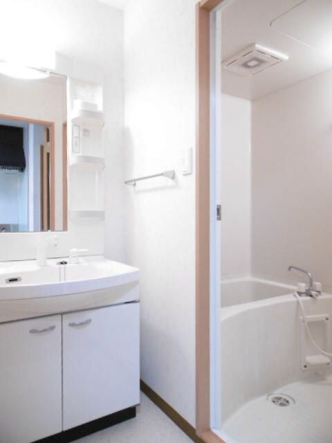 相模原市緑区橋本２丁目の賃貸マンションの洗面所