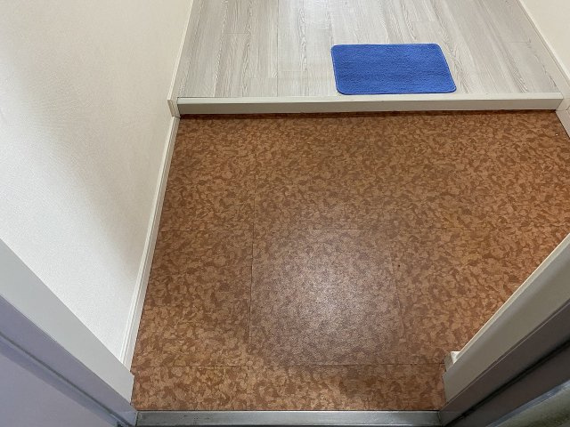ヴィラ庄内の玄関