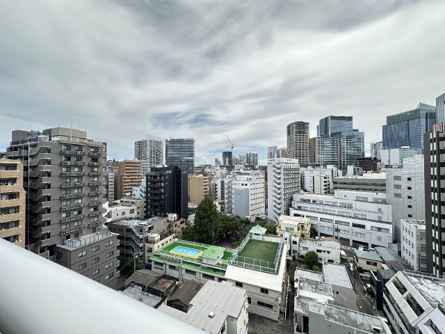 コンシェリア芝公園 ＭＡＳＴＥＲ’Ｓ ＶＩＬＬＡの展望