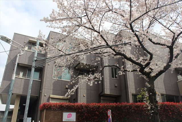 さくらヒルズの外観
