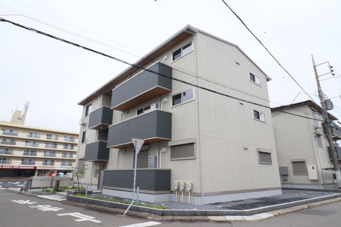 トリシア花水木の外観