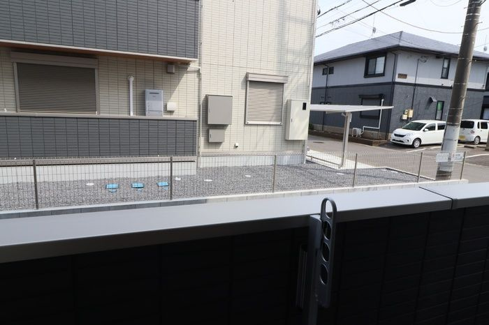 トリシア花水木