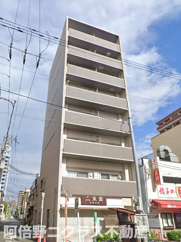 シーラビフォリア 