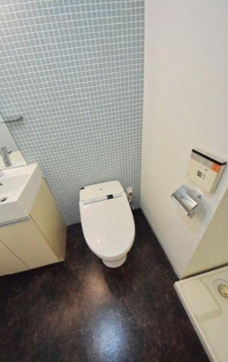 千代田区神田錦町１丁目の賃貸マンションのトイレ
