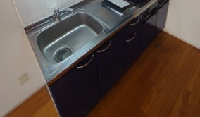 グリーンメゾン槇のキッチン