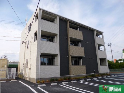 サクラ