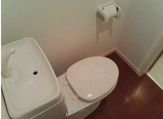 DRホームズ向島のトイレ