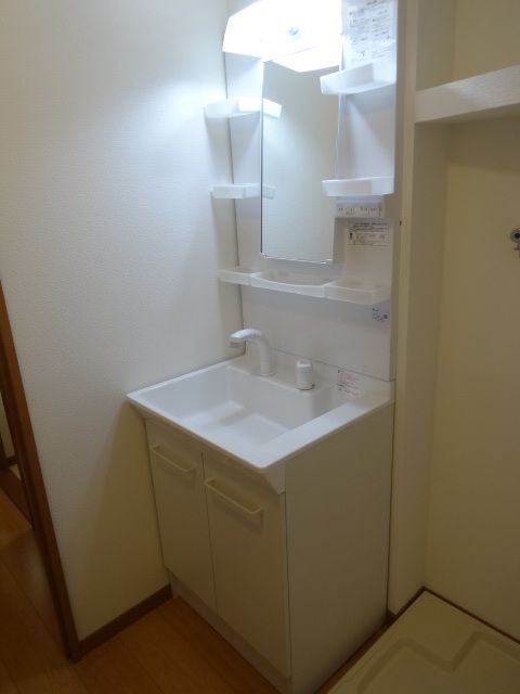 ラフィーネ笹原 476の洗面所