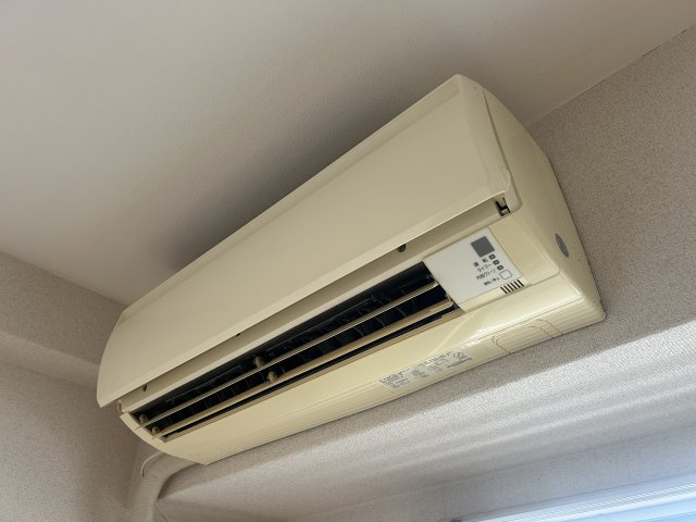 グレース今津のその他