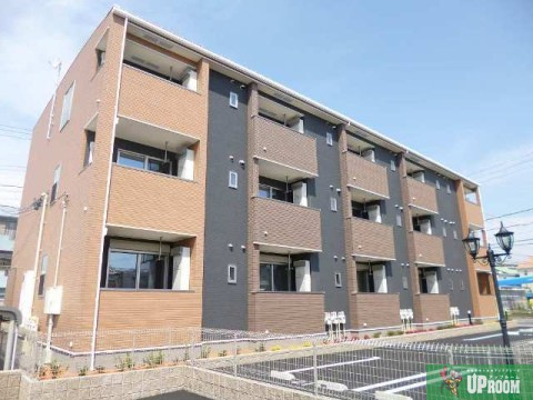 リラの外観