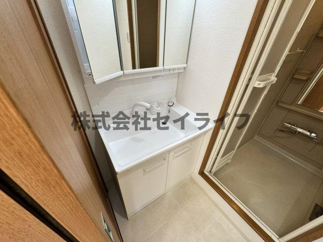 ルミエール八尾の洗面所