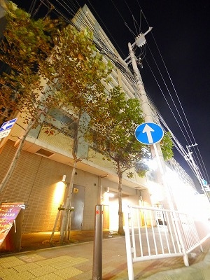 ライジングプレイス桜木町二番館の外観