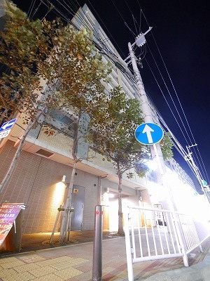 ライジングプレイス桜木町二番館の外観