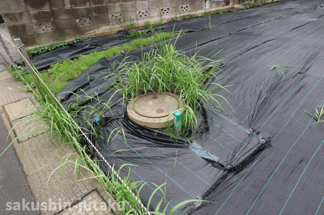 袖ヶ浦６丁目　売地のその他|B区画のみライフライン完備