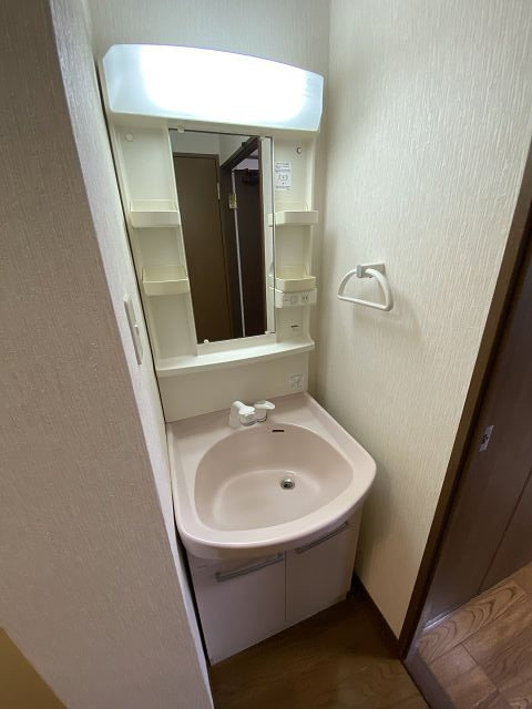 ステラハウス14の洗面所