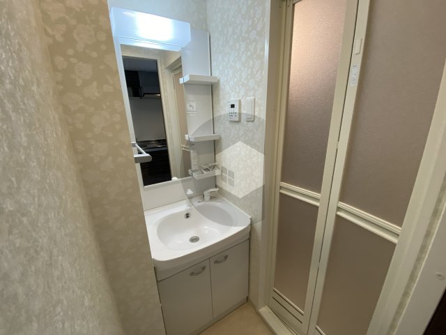 Luxe布施南2の独立洗面台