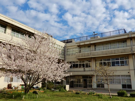 グラファーレ八千代市高津１６期の周辺|東高津中学校