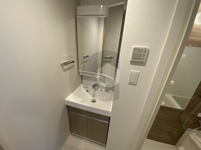 S-RESIDENCE高井田beletaの洗面所