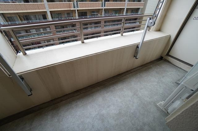福岡市中央区薬院１丁目の賃貸マンションのバルコニー|物件の画像10