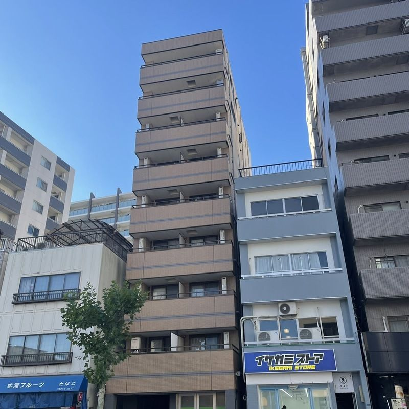 パールピアスの外観
