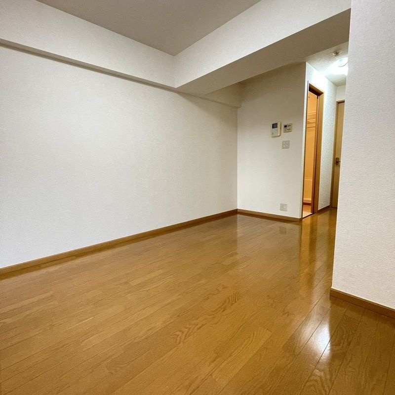 パールピアスのその他