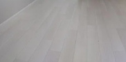 Dear Paddyの画像
