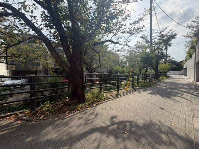 10/17　価格変更の前面道路含む現地写真