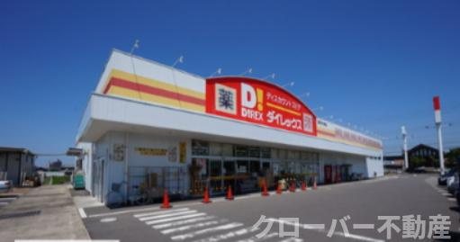 フィネス多賀の周辺|ドラッグストア