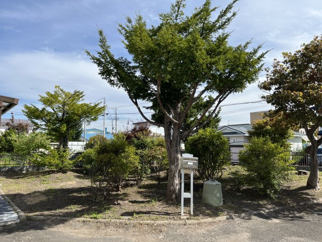 北見市北進町６丁目５番１１号中古住宅の庭