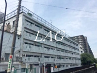 ｖｅｒｄｅ（ヴェルデ）の画像