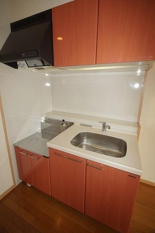 福岡市中央区白金２丁目の賃貸マンションのキッチン|物件の画像4