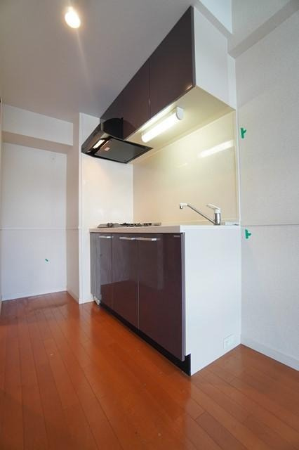 福岡市中央区平尾２丁目の賃貸マンションのキッチン|物件の画像4