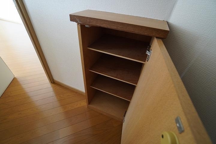 福岡市城南区南片江５丁目の賃貸マンションの玄関|物件の画像6