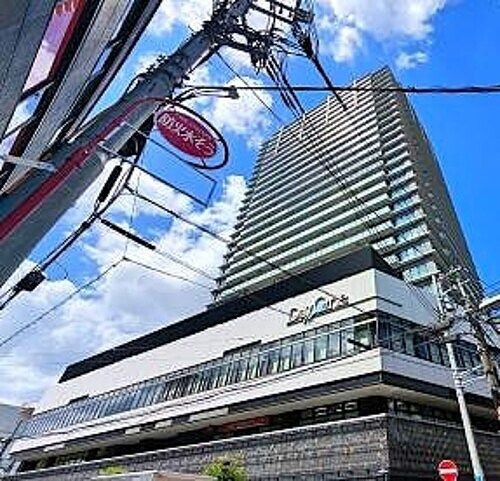 ライオンズタワー柏の外観|物件の外観です