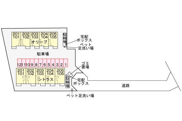 オリーブの区画図