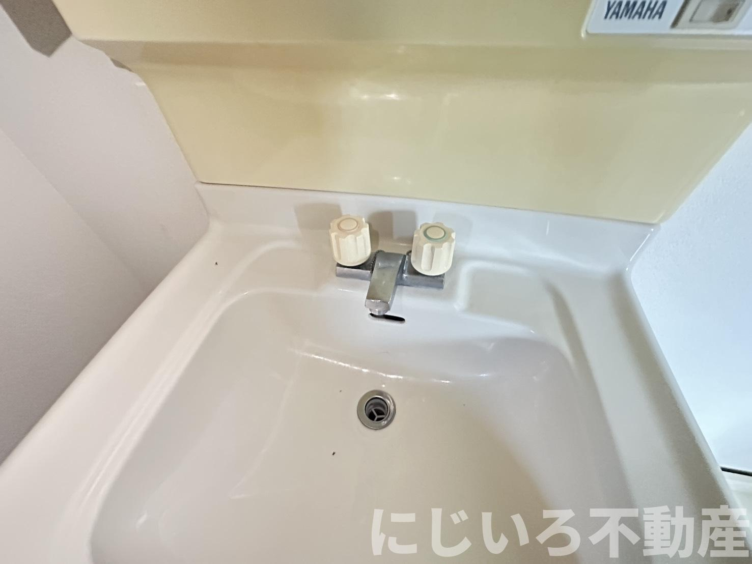セジュール阿南の独立洗面台