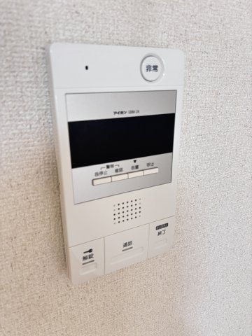 ヴィトレスクのセキュリティ