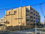 Ｂａｒｉ　Ｈｉｌｌｓの画像