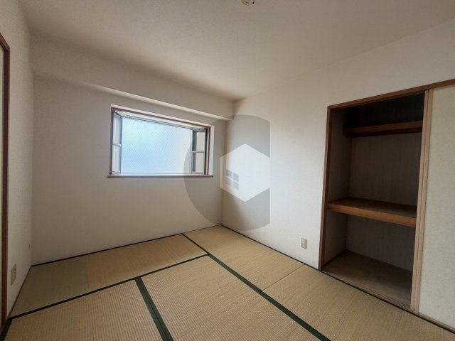 プロ二ティ・ユーのその他