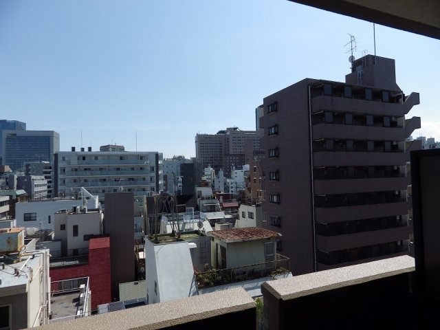 ライオンズシティ御茶ノ水の展望