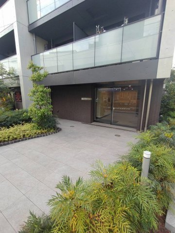 Cielo Azulのその他